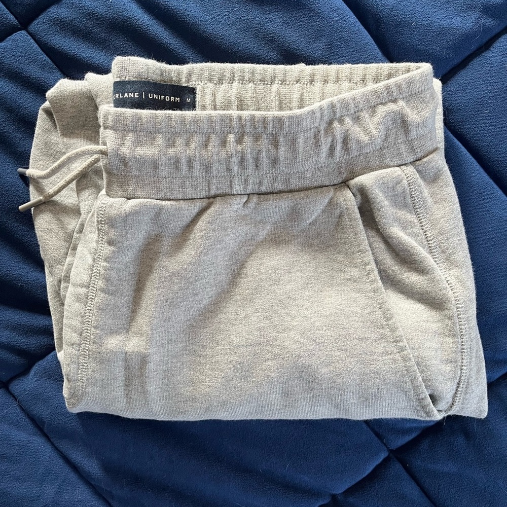 Grey Everlane Sweatpants